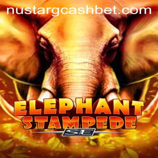 ElephantStampedeSE: Exploring the Dynamic World of Digital Gaming
