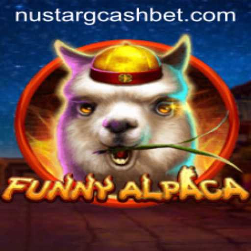 Explore FunnyAlpaca: A New Dimension of Gaming