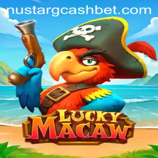 Exploring LuckyMacaw: Navigating the World of Chance and Adventure
